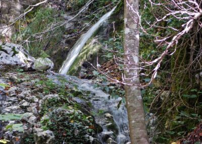 Concone4
